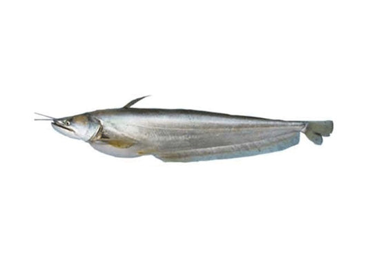 Boal (Goal) Whole Fish 3.3-3.5kg