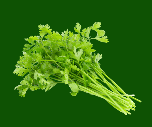 Fresh Coriander 1 Bunch