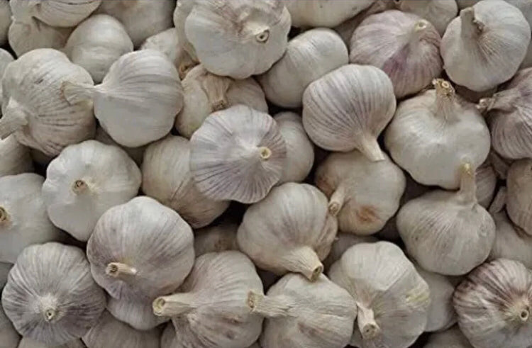 Fresh Garlic 500g