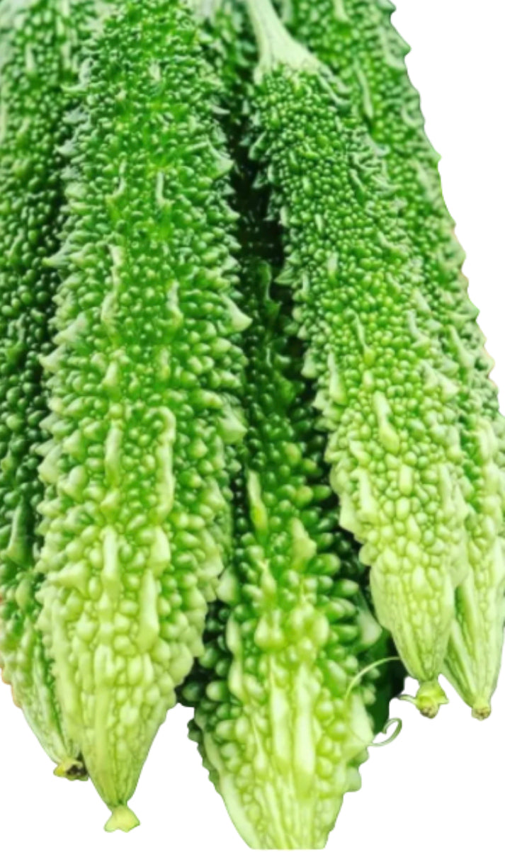 Fresh Karela 500g