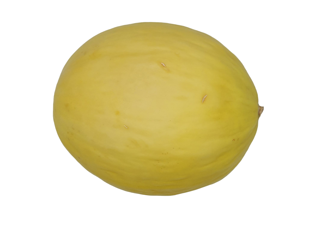 Honeydew Melon