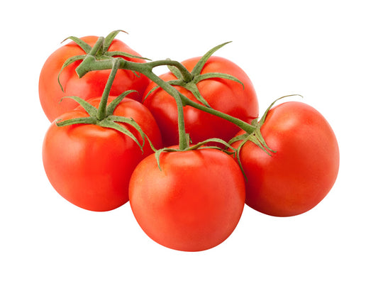 Vine Tomato x 5