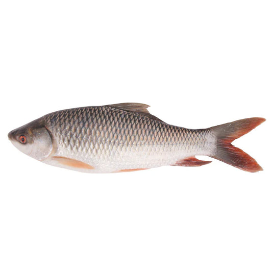 Rohu (Ruhi) Whole Fish 3.3-3.5kg