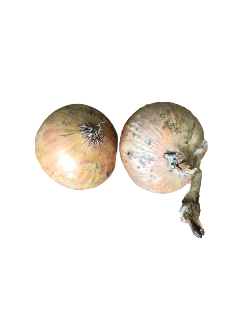 Onion x 2