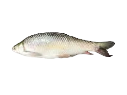 Mirgal Whole Fish 3.3-3.5kg